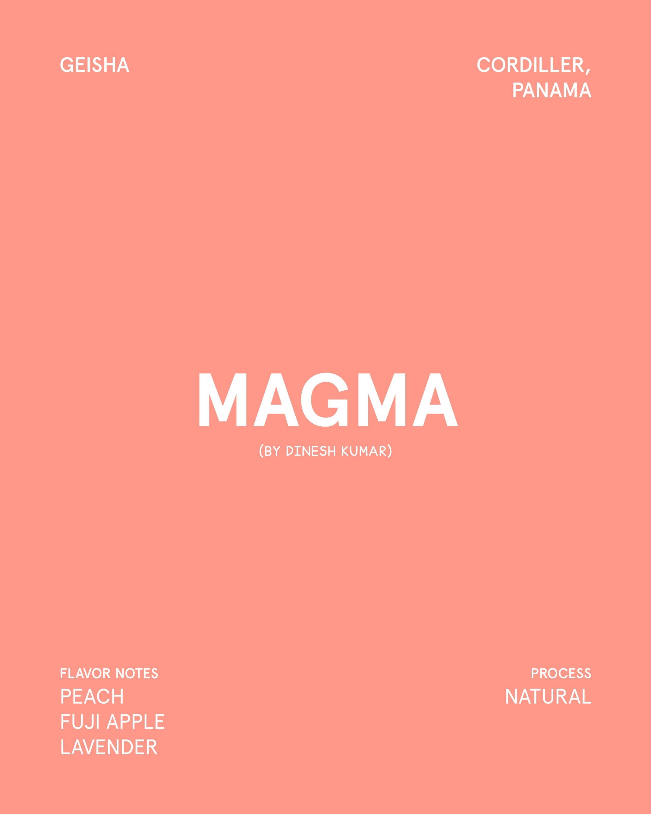 Magma by Dinesh Kumar, Panama
