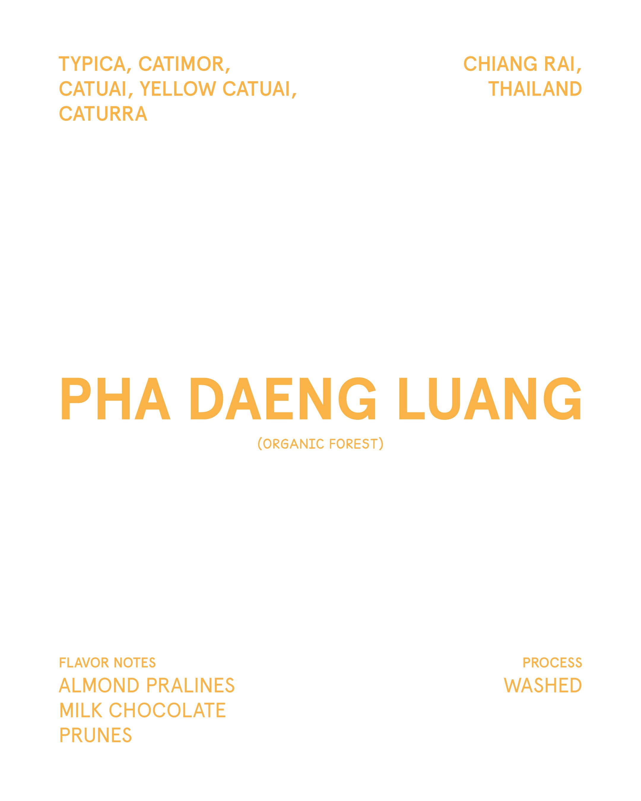 Pha Daeng Luang Thailand (Medium Roasted)