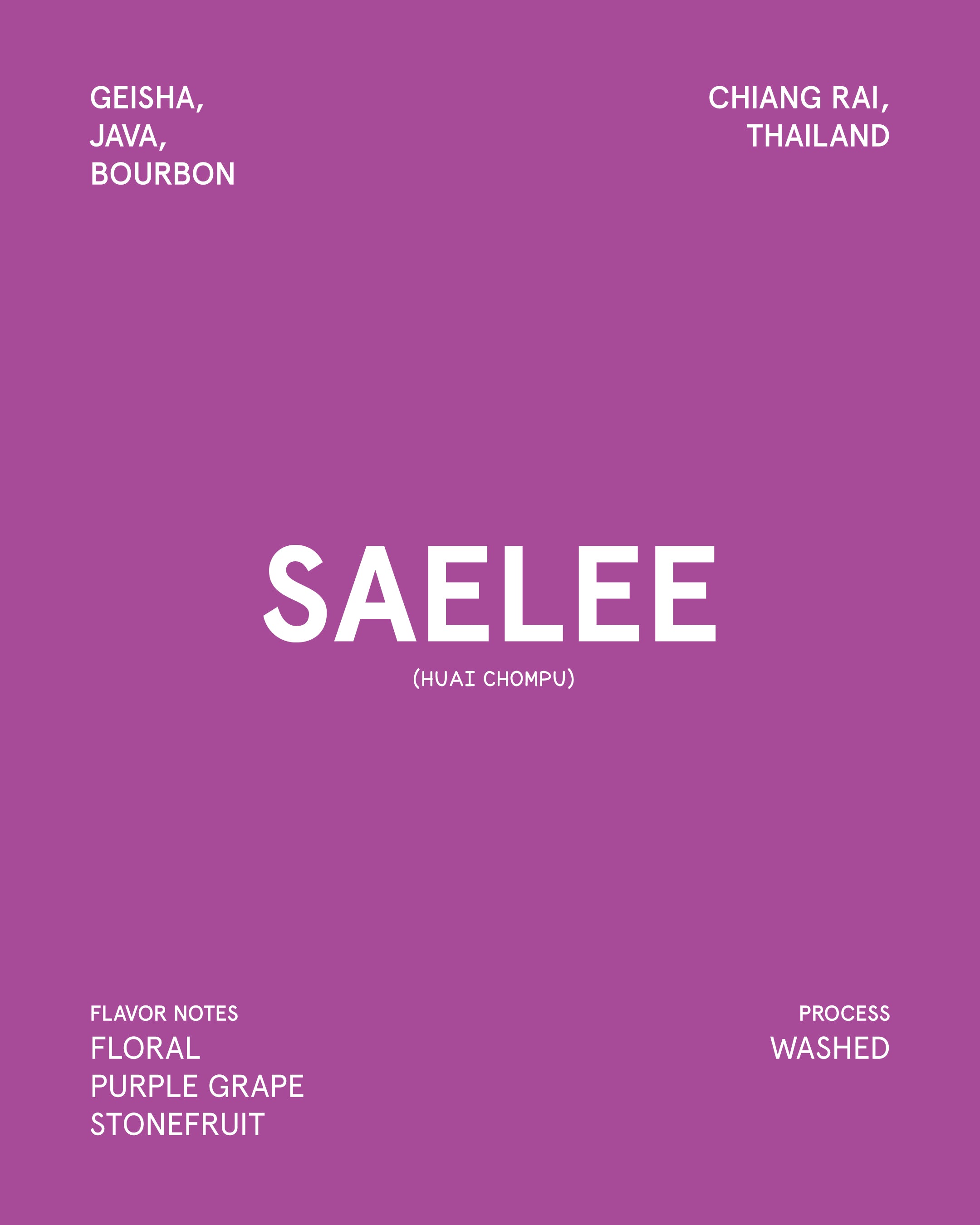 Saelee (Geisha, Java, Bourbon) Chiang Rai Thailand