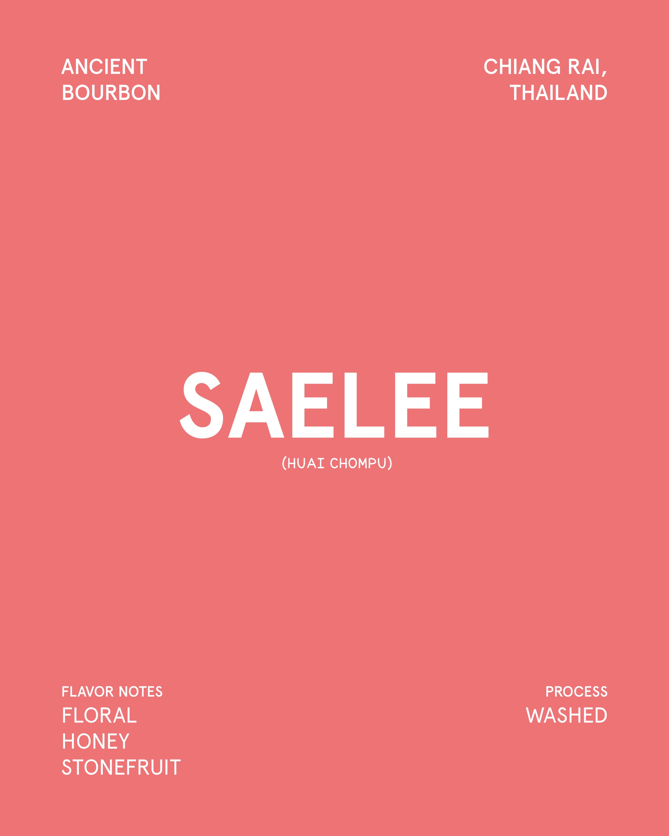 Saelee Chiang Rai Thailand