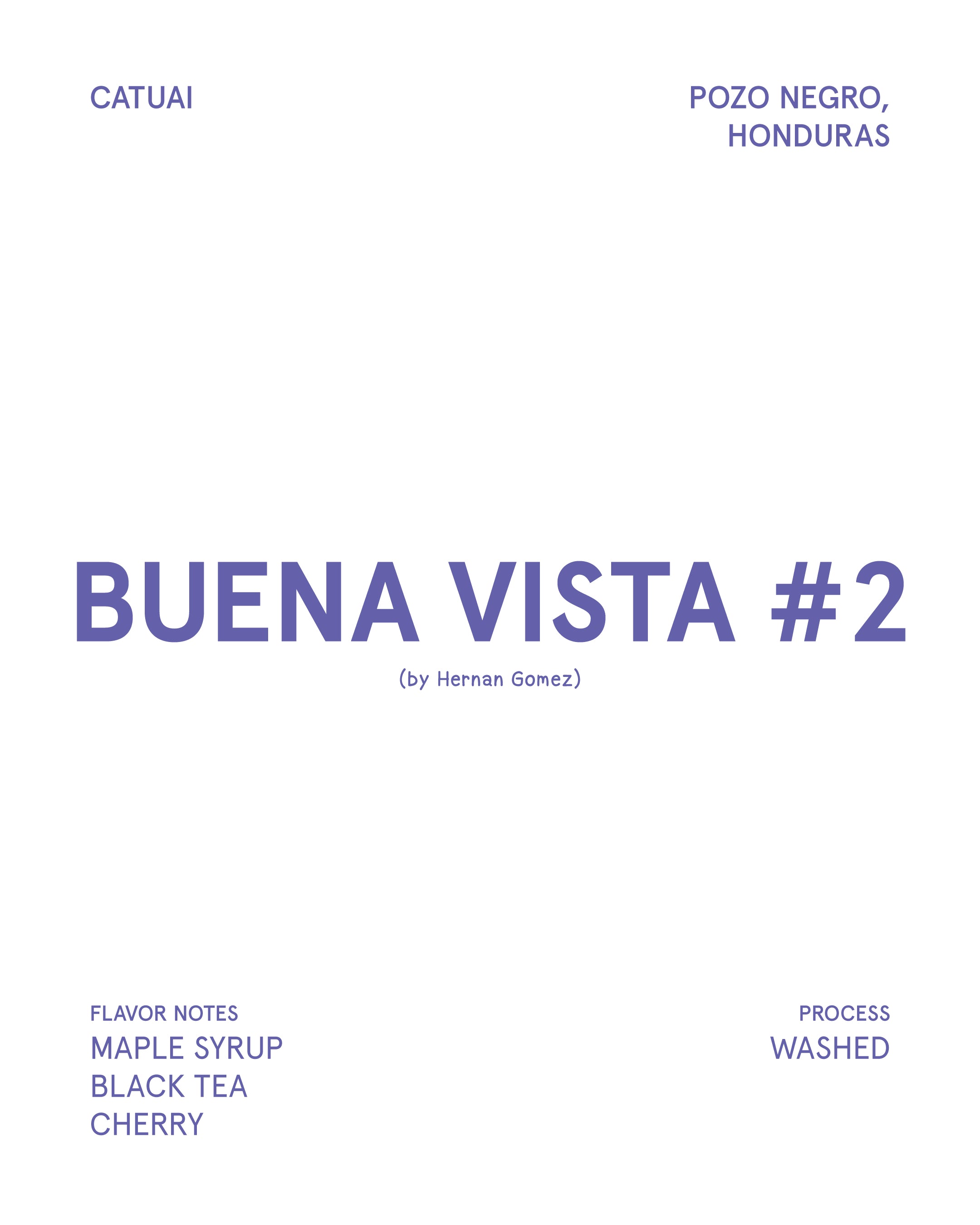 Buena Vista #2 Honduras (Medium Roast)