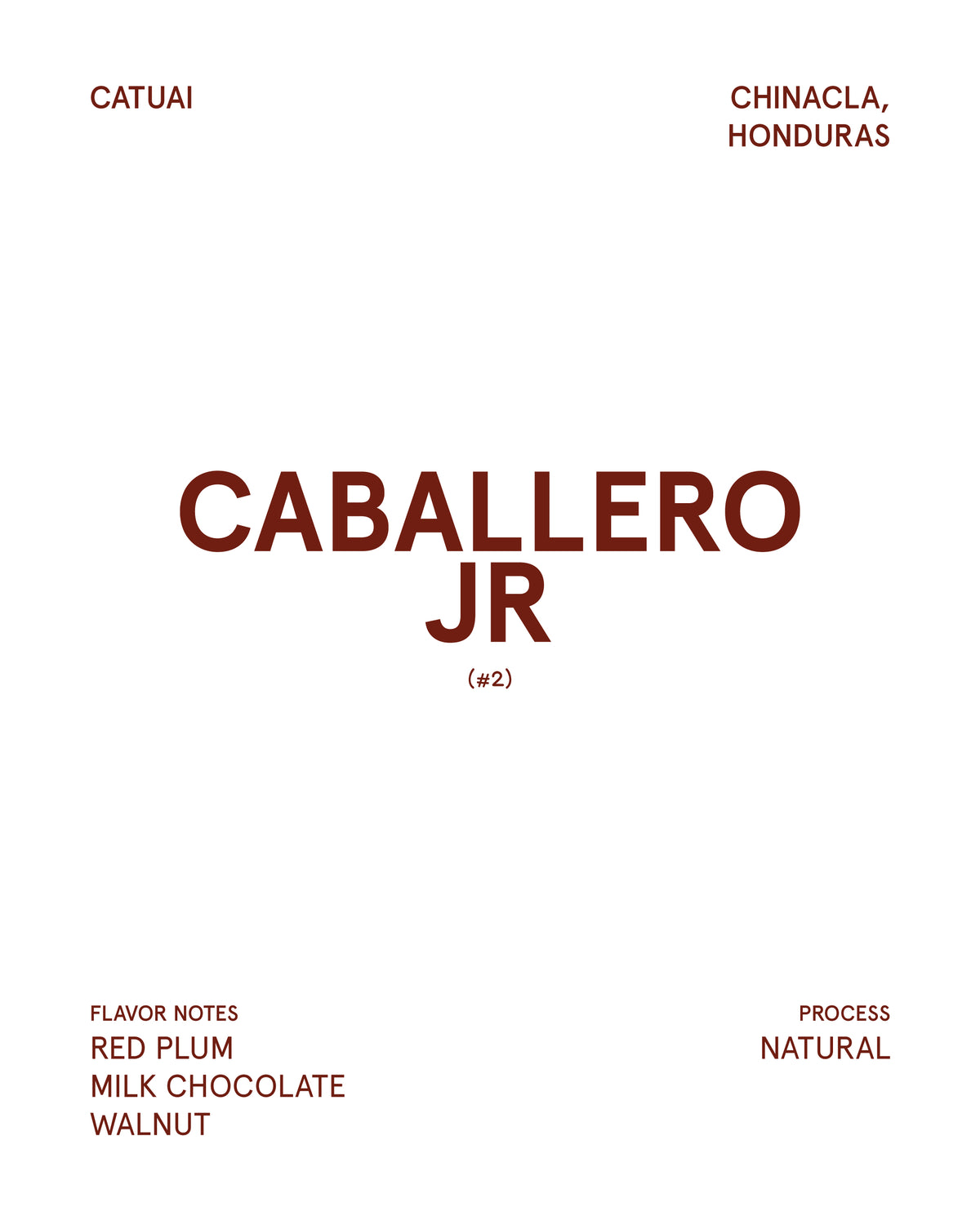 Caballero JR #2, Honduras (Medium Roast)