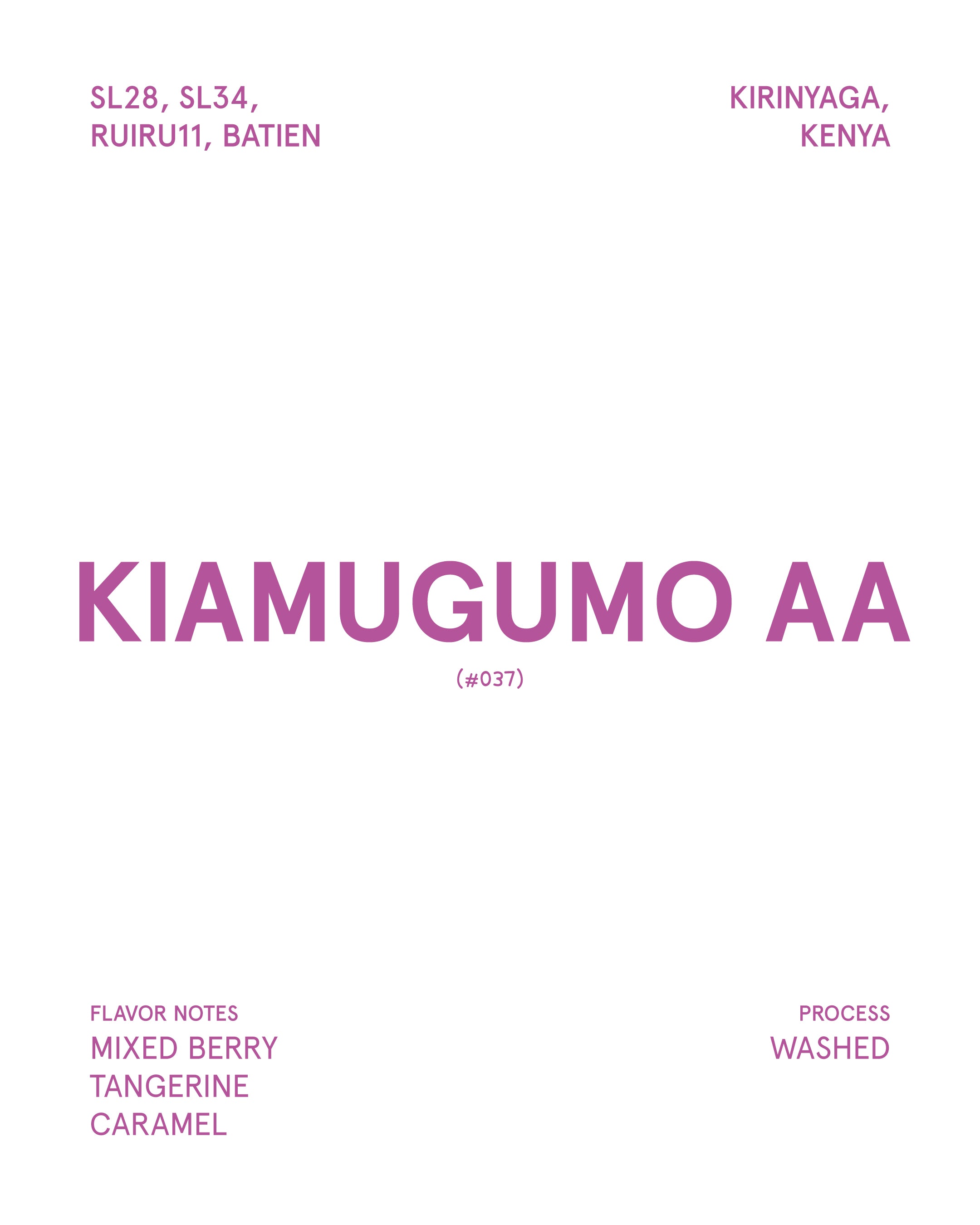 Kiamugumo AA Kenya (Medium Roasted)