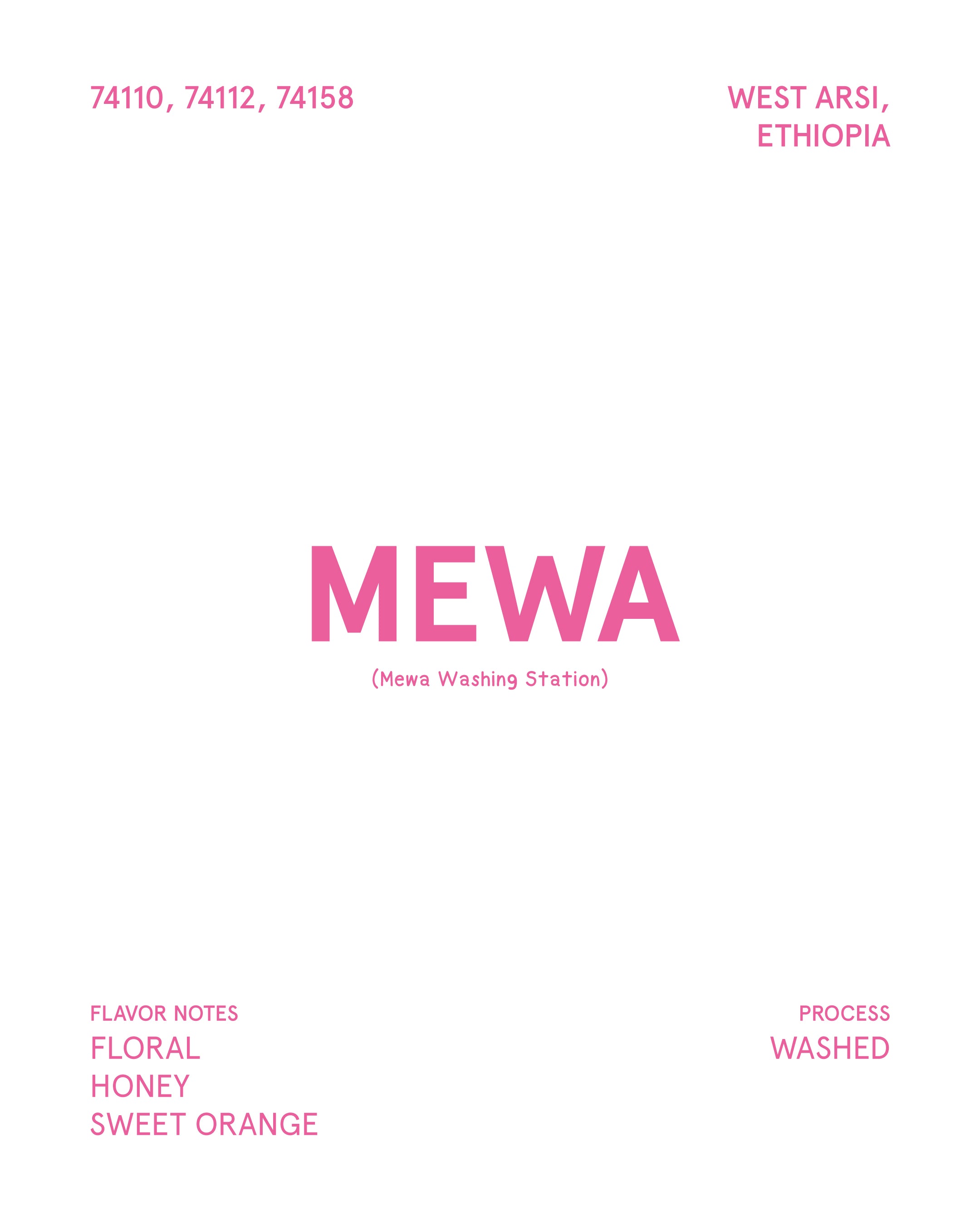 MEWA Ethiopia (Medium Roasted)