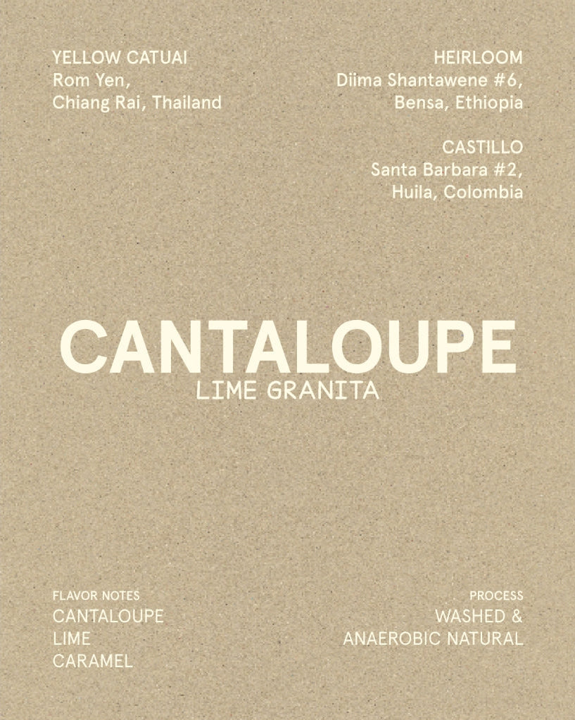 Cantaloupe Lime Granita
